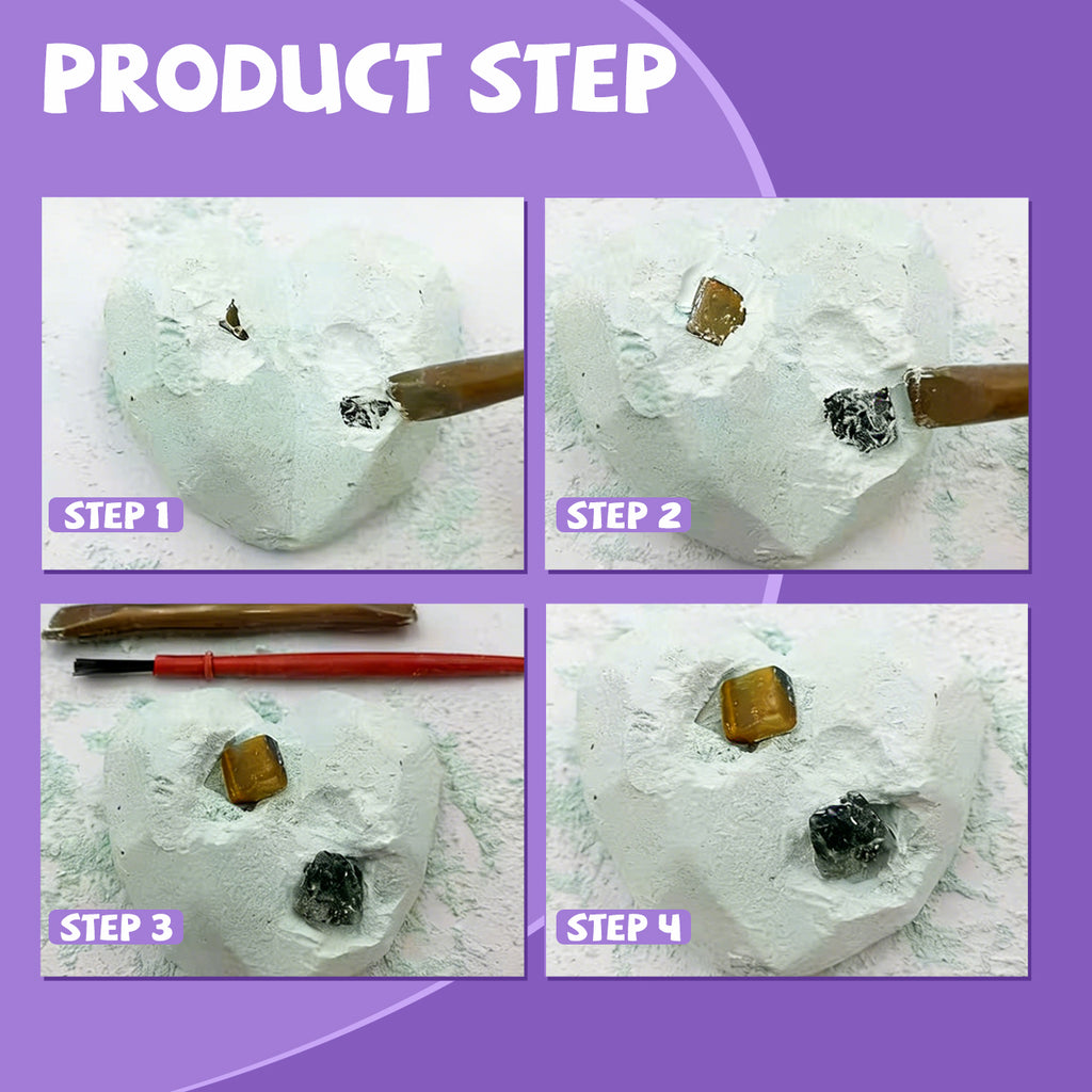 Heart Fossil 24 pack STEM Projects